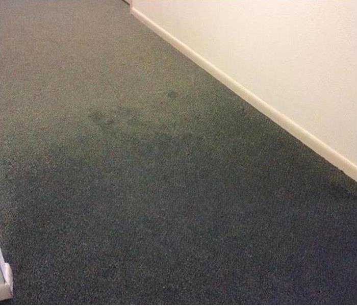 wet carpet in hall