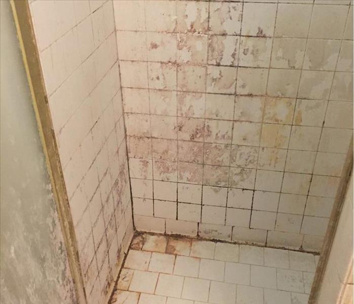White tiled shower is dirty