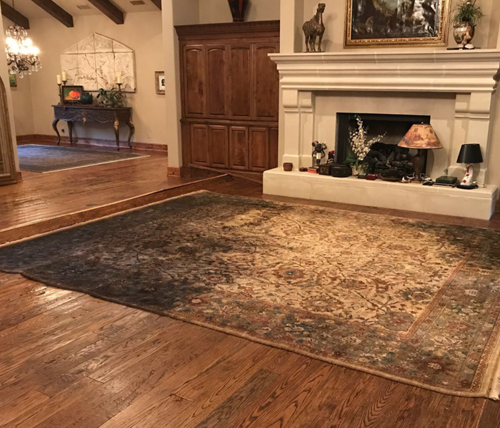 hardwood floor, burned rug, fireplace
