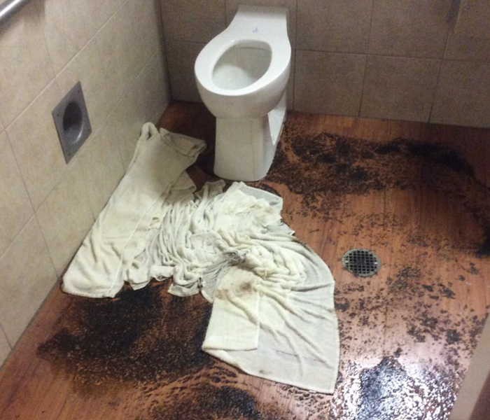 overflowed toilet with feces on floor