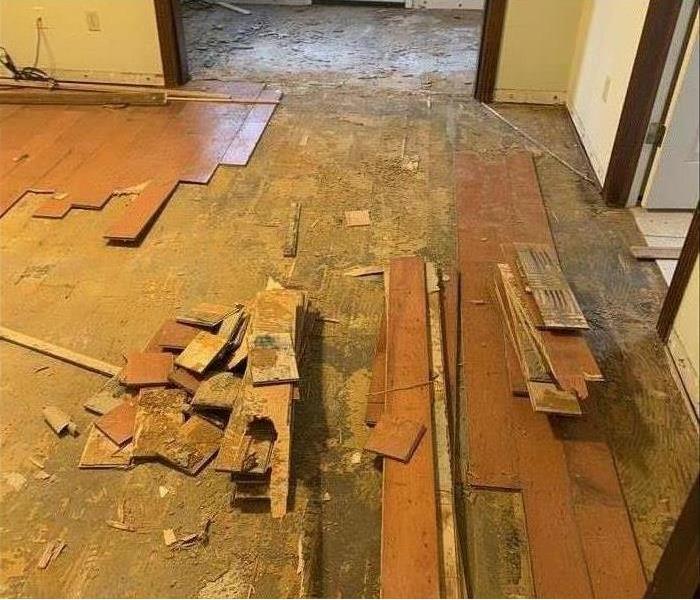 wet, damaged wood floor