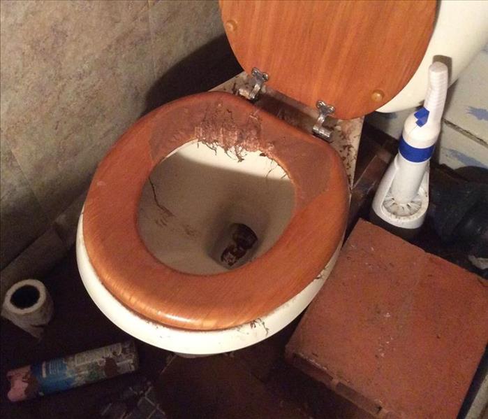 dirty toilet, sewage leak